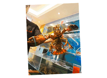 【時代儒商】膠東碼頭海鮮城淮揚菜、魯菜、海鮮超多美味！滿足您的味蕾~~