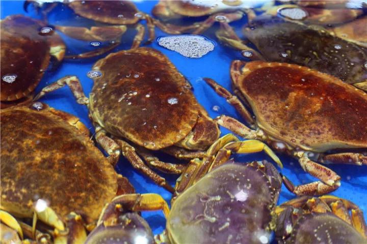 【時代儒商】膠東碼頭海鮮城淮揚菜、魯菜、海鮮超多美味！滿足您的味蕾~~