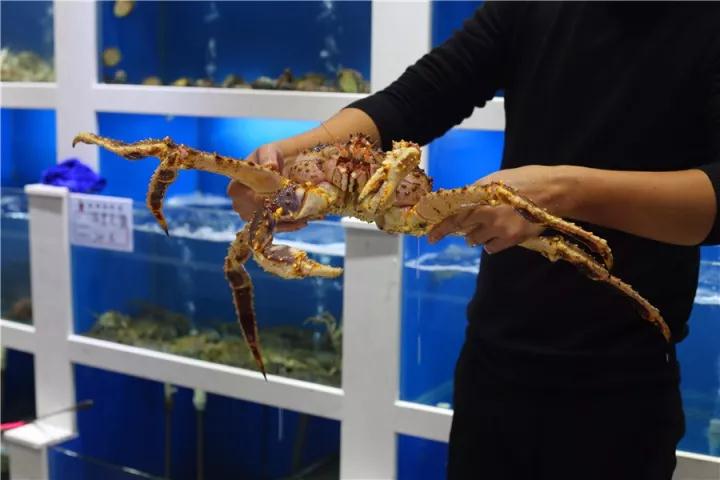 【時代儒商】膠東碼頭海鮮城淮揚菜、魯菜、海鮮超多美味！滿足您的味蕾~~