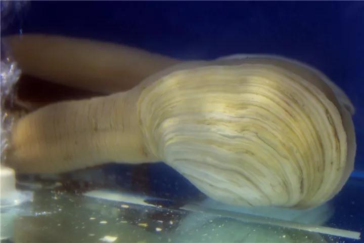 【時代儒商】膠東碼頭海鮮城淮揚菜、魯菜、海鮮超多美味！滿足您的味蕾~~