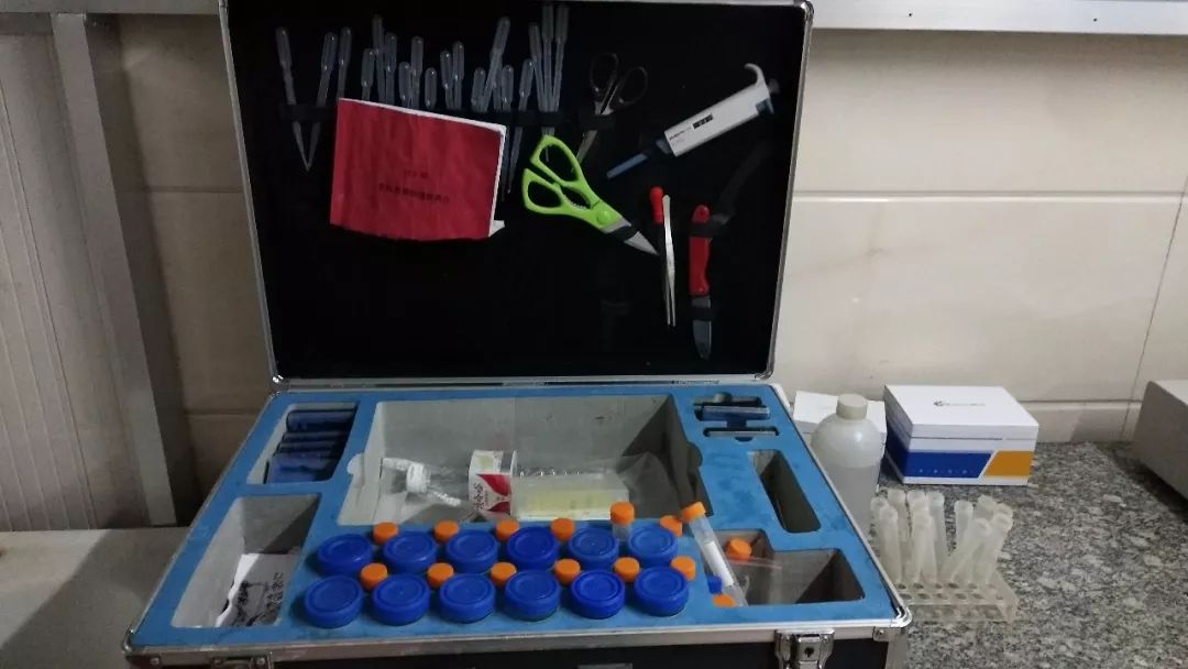 新時(shí)代商廈｜誠(chéng)信315 信用讓消費(fèi)更放心！